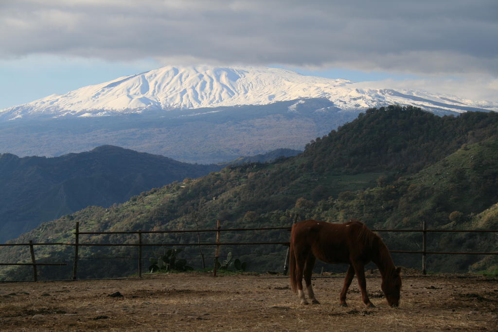 Agriturismo San Cataldo Motta Camastra Εξωτερικό φωτογραφία